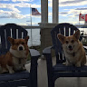 Meet your Posher, Bronwyn